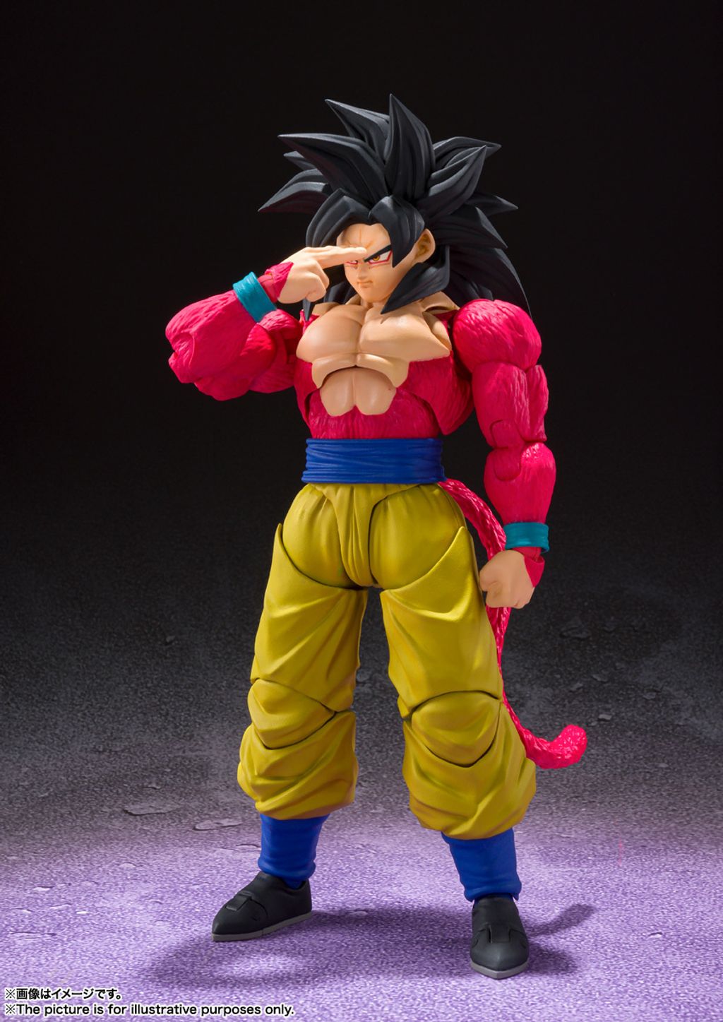 SHF_SS4_SonGoku_DBGT 003.jpg