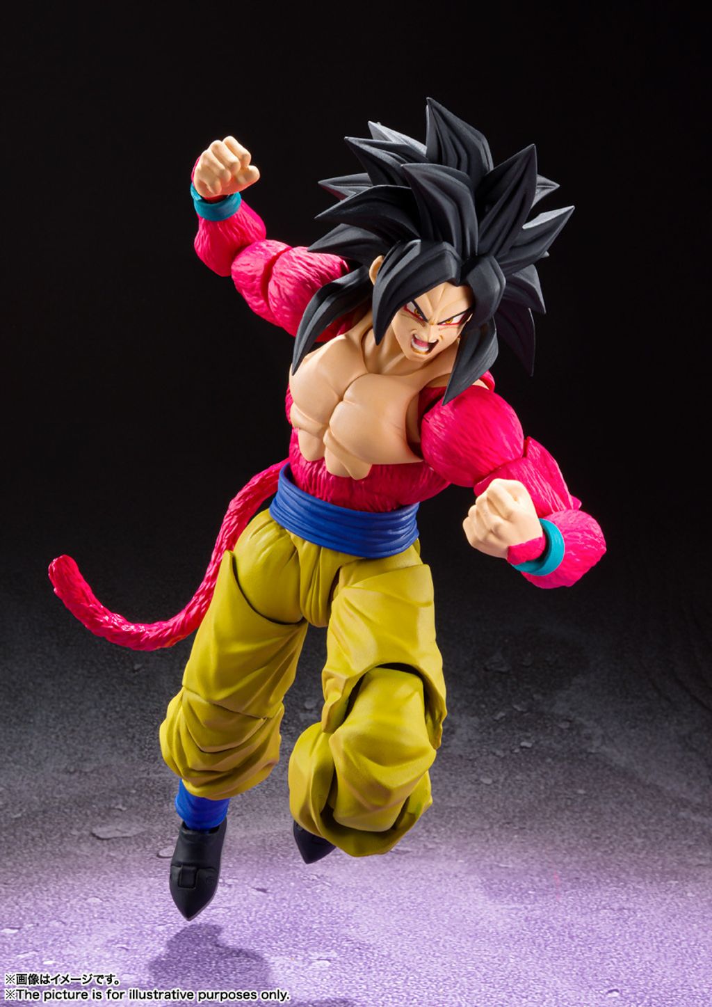 SHF_SS4_SonGoku_DBGT 004.jpg