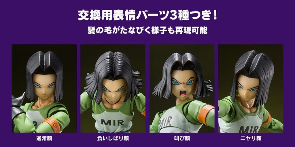 SHF_Android17_DBS_UniverseSurvival_PB 014.jpg