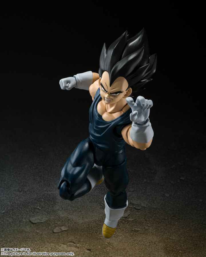 SHF_Vegeta_DBSuperHero 006.jpg