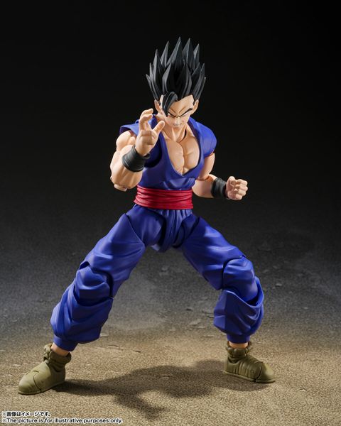 SHF_UltimateGohan_DBSuperHero 002.jpg