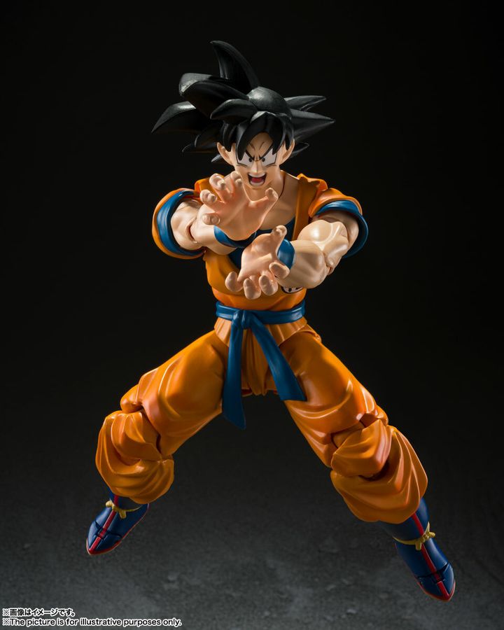 SHF_SonGoku_DBSuperHero 006.jpg