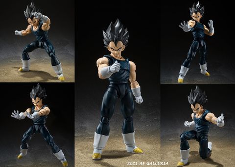 SHF_Vegeta_DBSuperHero 00.jpg