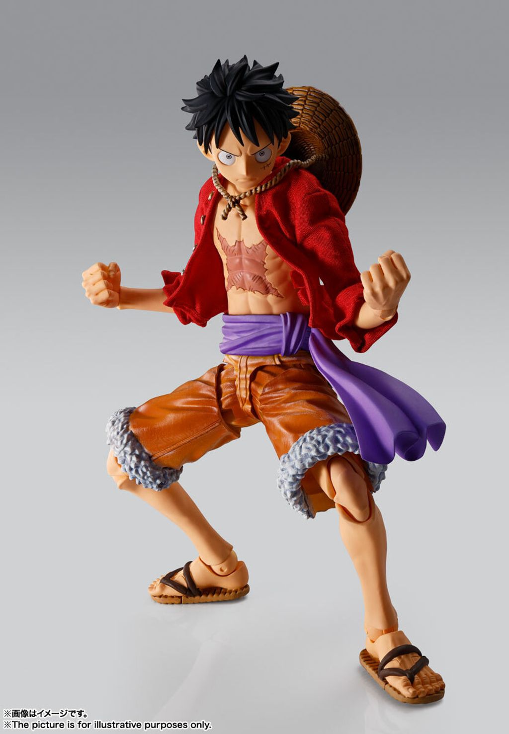 IW_MonkeyDLuffy_OnePiece 007.jpg