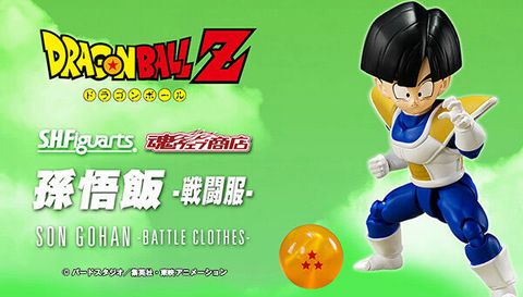 SHF_SonGohan_BattleClothes_DBZ_PB 00.jpg