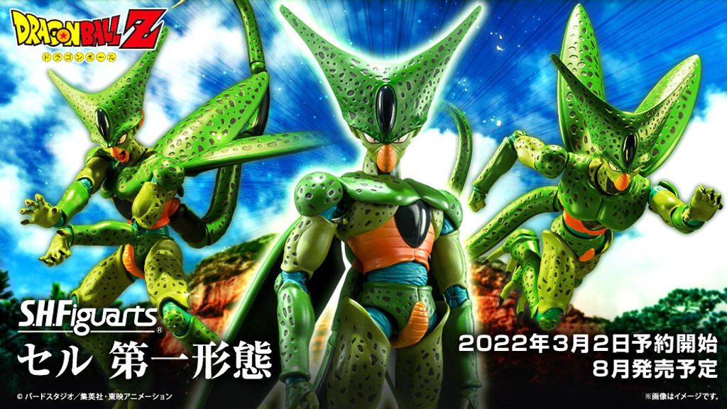 SHF_Cell_FirstForm_DBZ 00.jpg
