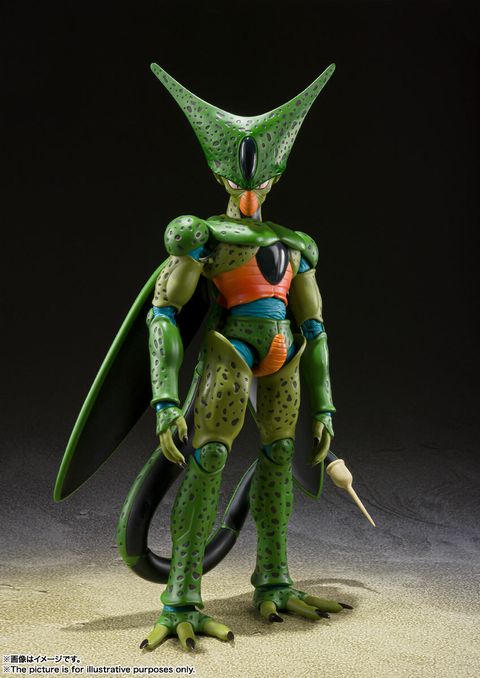 SHF_Cell_FirstForm_DBZ 001.jpg