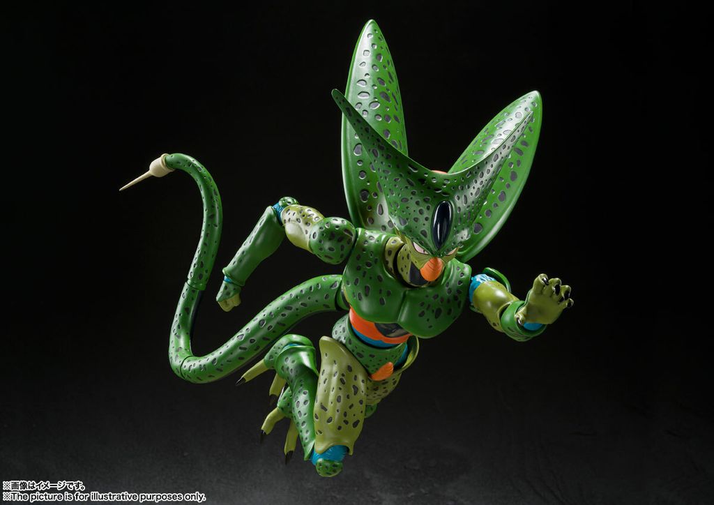SHF_Cell_FirstForm_DBZ 002.jpg