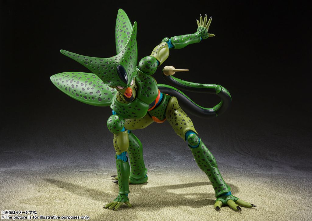 SHF_Cell_FirstForm_DBZ 003.jpg