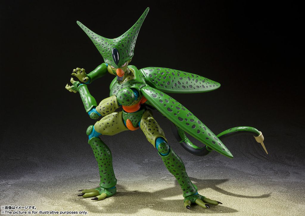 SHF_Cell_FirstForm_DBZ 004.jpg