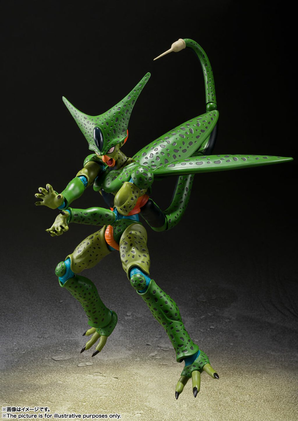 SHF_Cell_FirstForm_DBZ 005.jpg