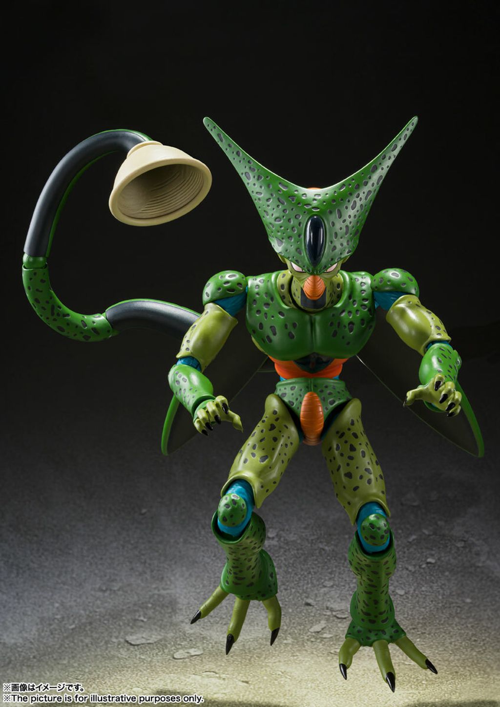 SHF_Cell_FirstForm_DBZ 006.jpg