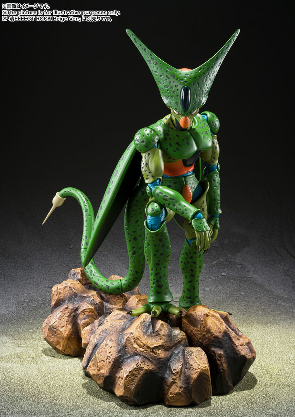 SHF_Cell_FirstForm_DBZ 007.jpg