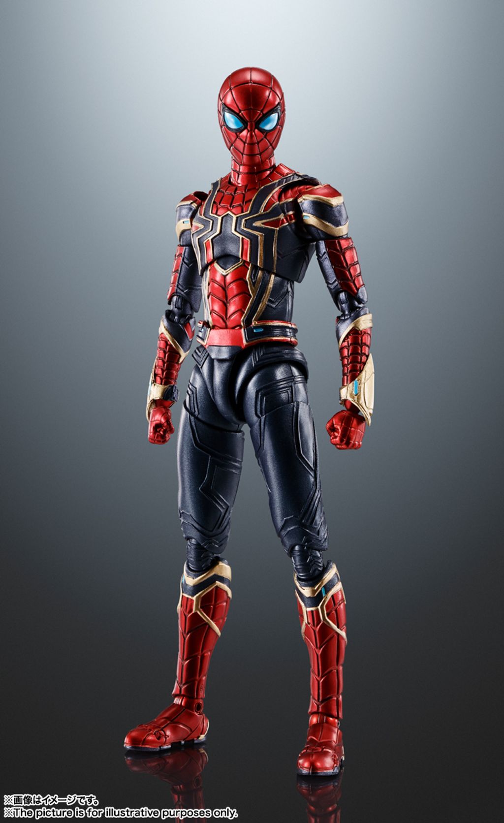 SHF_IronSpider_NWH 001.jpg