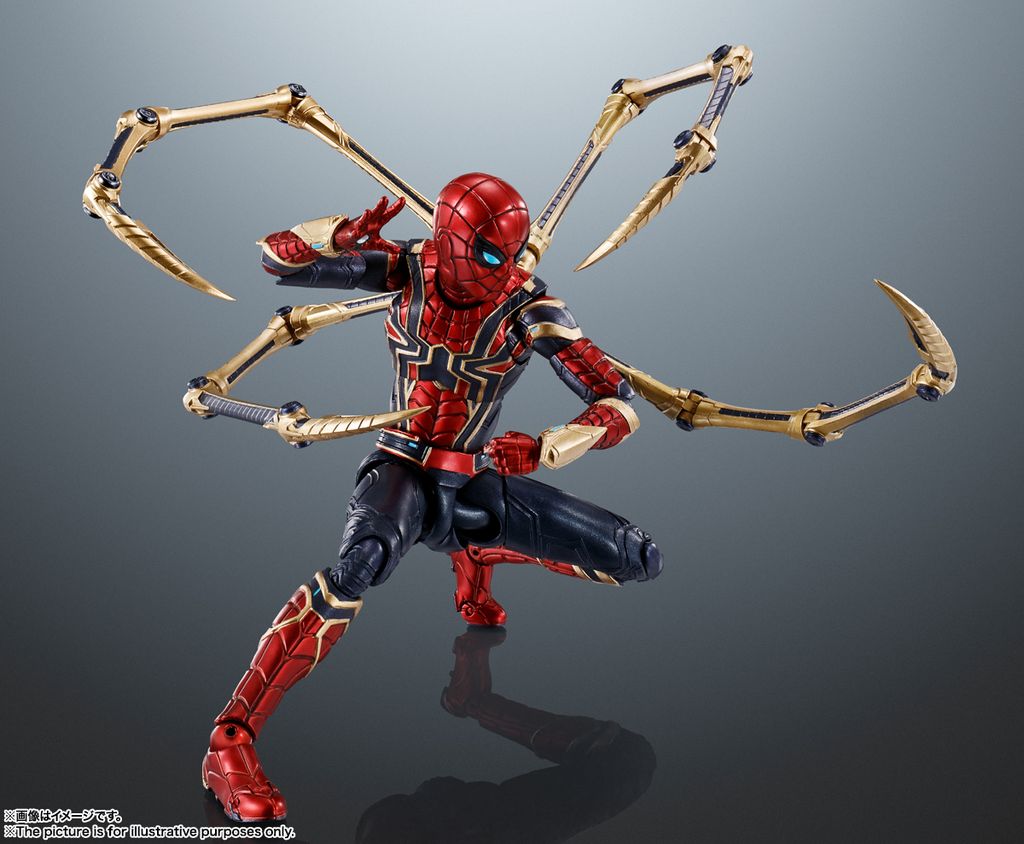 SHF_IronSpider_NWH 005.jpg