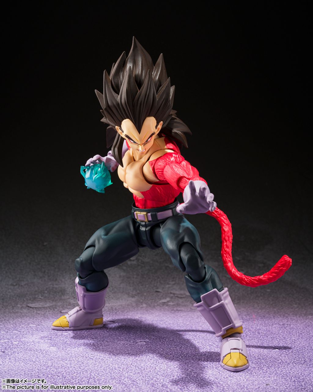 SHF_SuperSaiyan4_Vegeta_DBGT 003.jpg