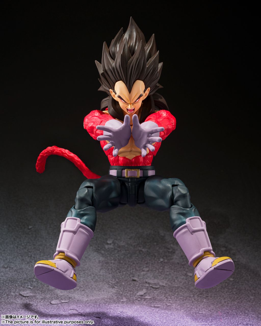 SHF_SuperSaiyan4_Vegeta_DBGT 006.jpg