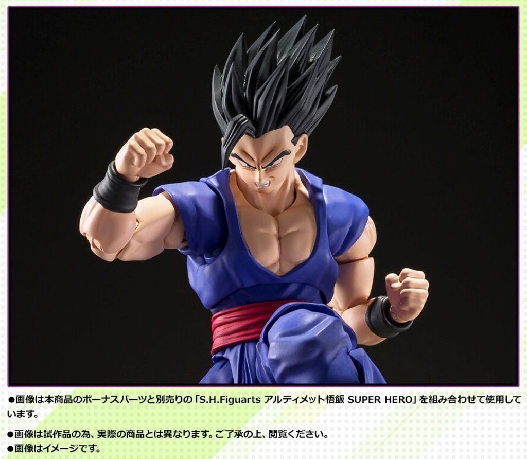 SHF_Broly_DBSSH_PB 013