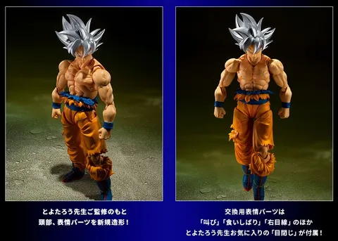 SHF_SonGoku_UltraInstinct_Toyotaro_PB 012