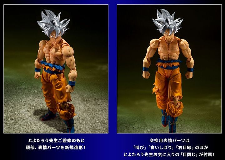 SHF_SonGoku_UltraInstinct_Toyotaro_PB 012