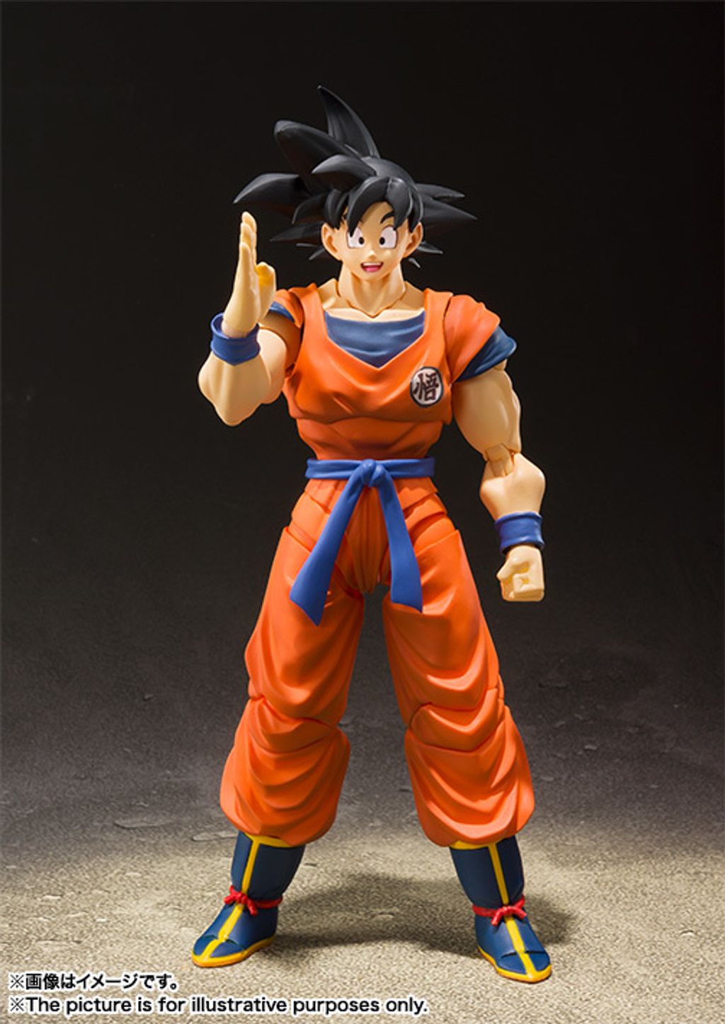 SHF_SonGoku_SaiyanRaisedOnEarth 001.jpg