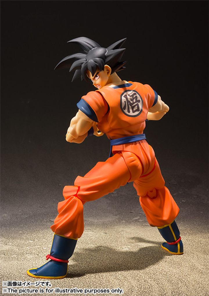 SHF_SonGoku_SaiyanRaisedOnEarth 002.jpg