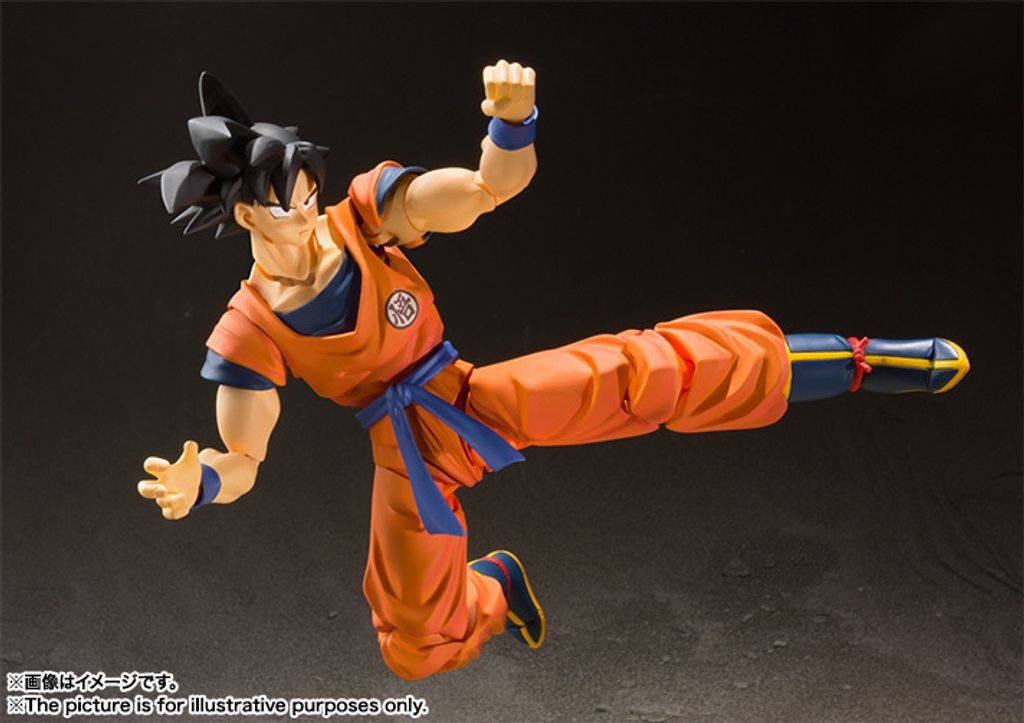 SHF_SonGoku_SaiyanRaisedOnEarth 006.jpg