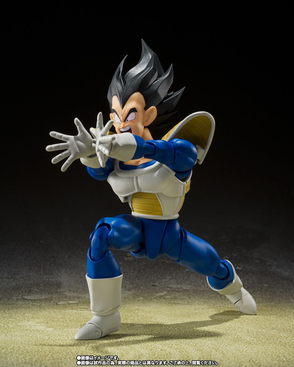 SHF_Vegeta_24000PowerLevel_DBZ_PB 004