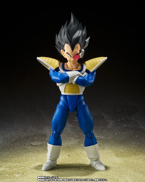 SHF_Vegeta_24000PowerLevel_DBZ_PB 002