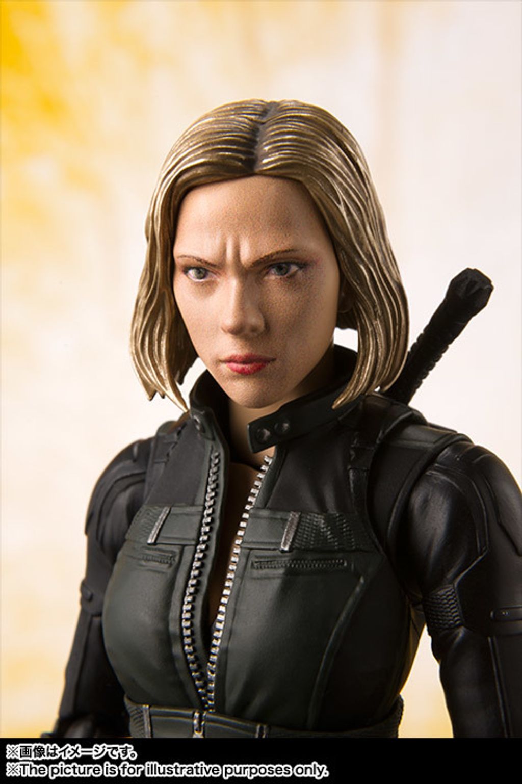 SHF_BlackWidow_IW 006.jpg