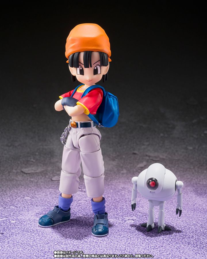 SHF_PanGiru_DBGT_PB 002