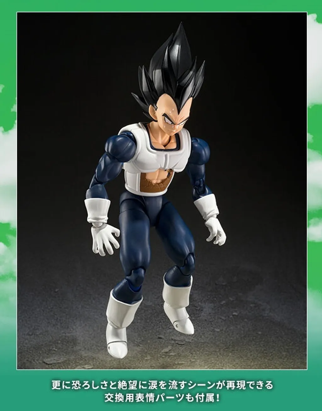 SHF_Vegeta_OldBattleClothes_DBZ_PB 017
