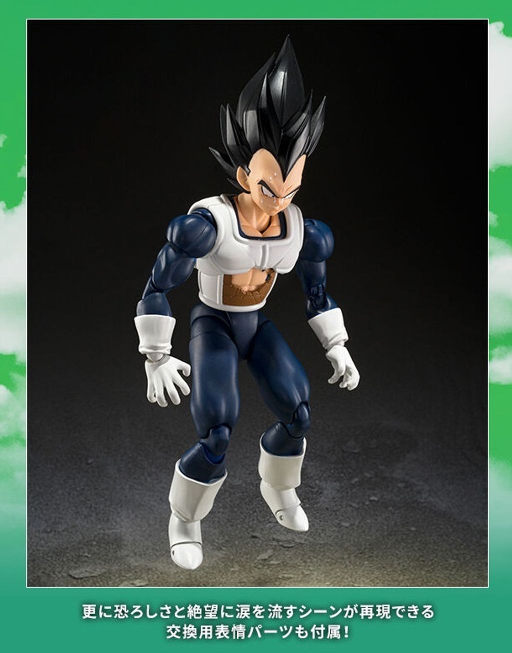 SHF_Vegeta_OldBattleClothes_DBZ_PB 017