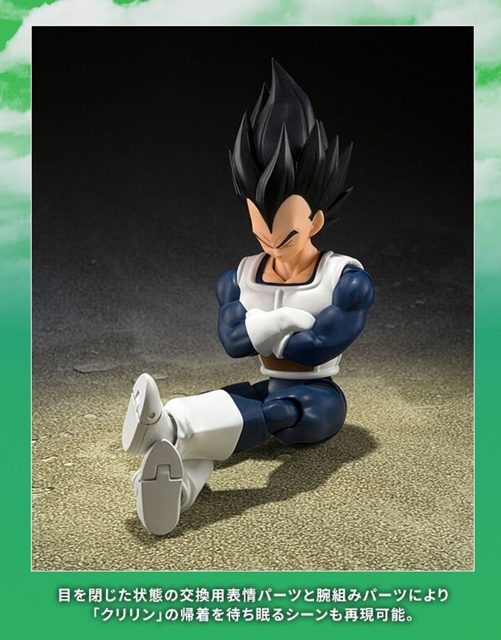 SHF_Vegeta_OldBattleClothes_DBZ_PB 016