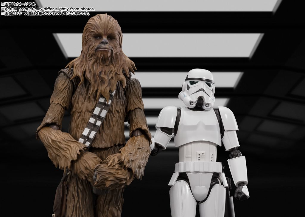 SHF_Chewbacca_Classic_SWANH 010