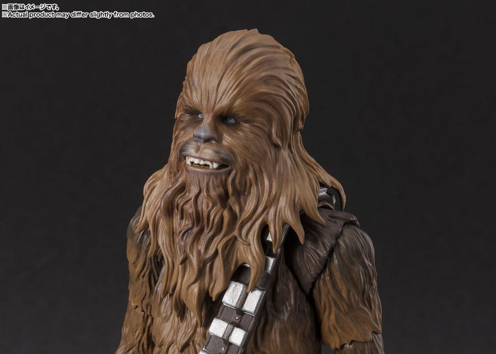 SHF_Chewbacca_Classic_SWANH 005