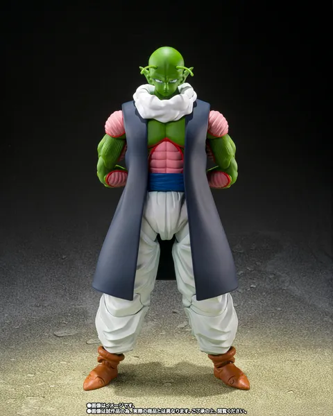 SHF_Nail_DBZ_PB 002