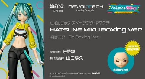 AY_HatsuneMiku_Boxing 000