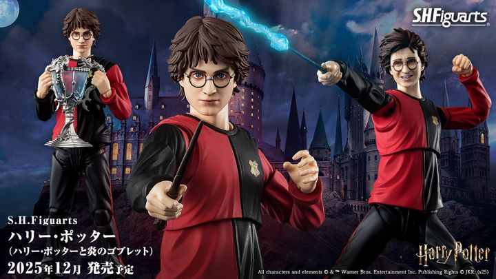SHF_HarryPotter_HarryPotter&TheGobletOfFire 00