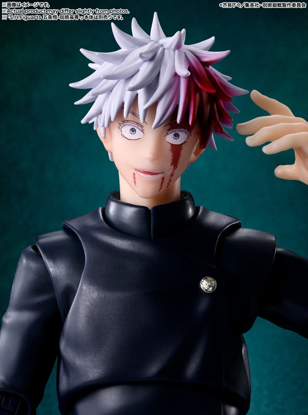 SHF_FushiguroToji_JJK 007