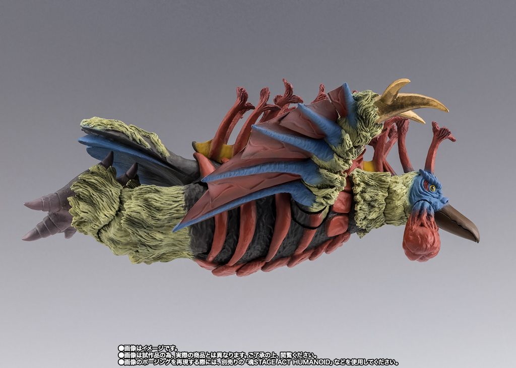 SHF_Burdon_UTaro_PB 005
