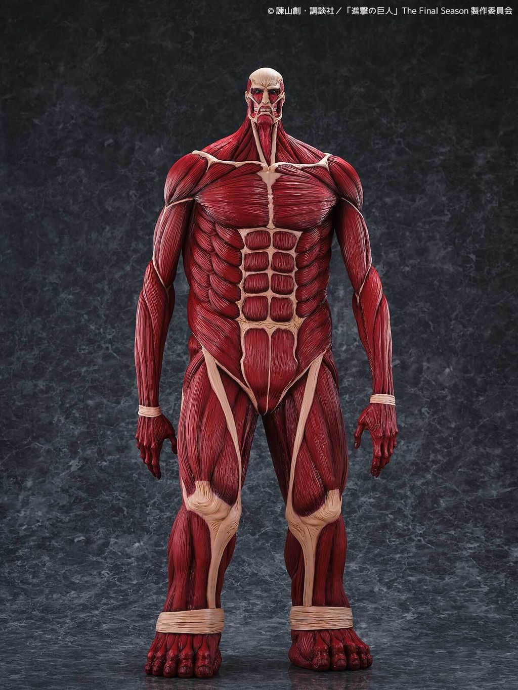 MegaSofvi_ColossalTitan_AOT 001