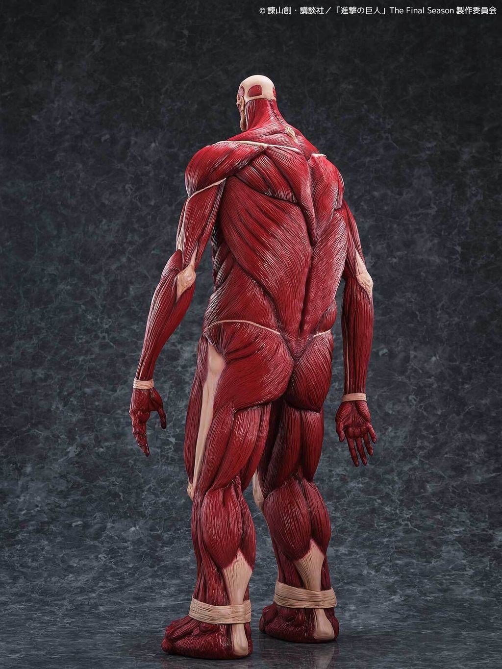 MegaSofvi_ColossalTitan_AOT 004