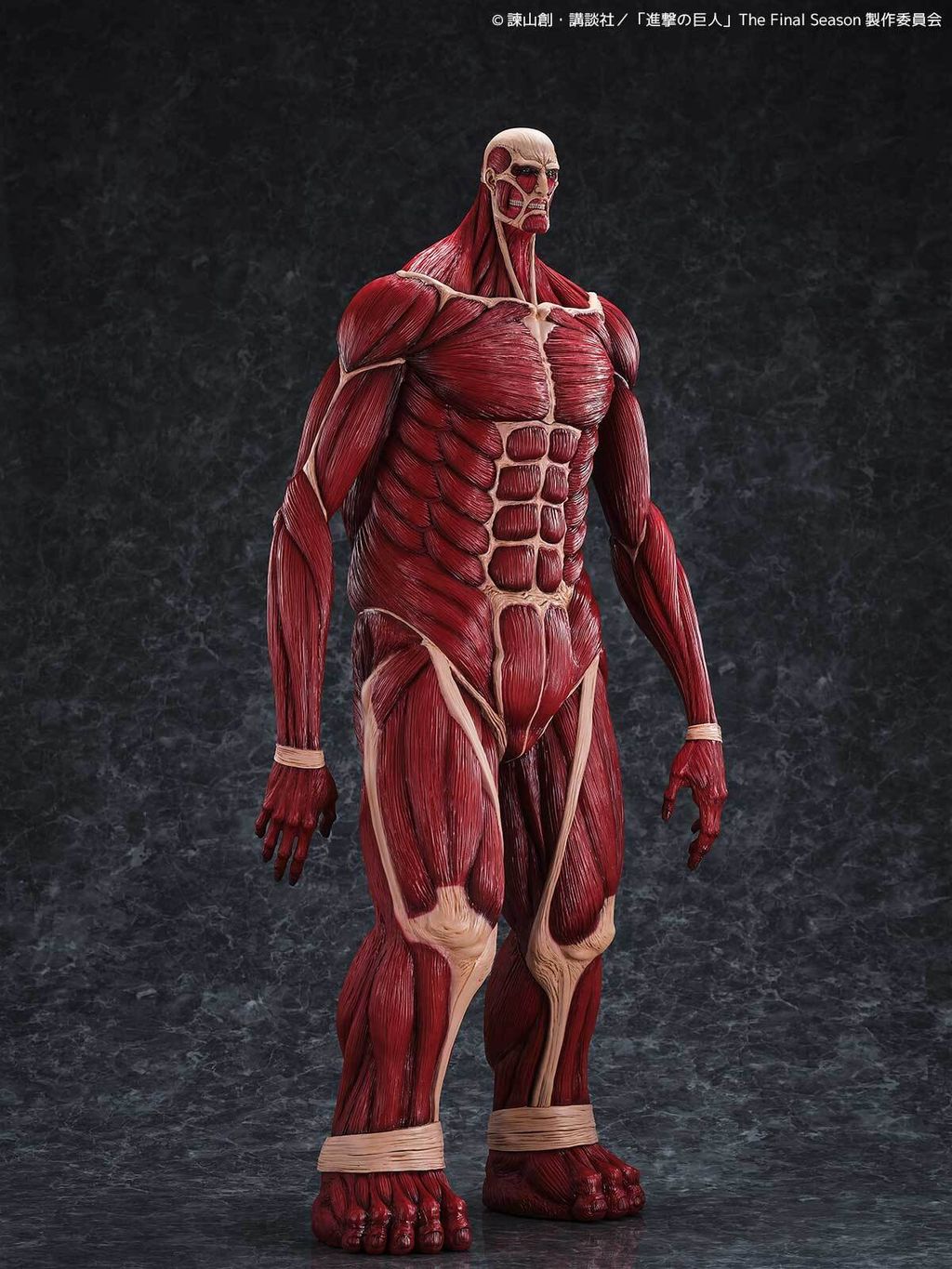 MegaSofvi_ColossalTitan_AOT 008
