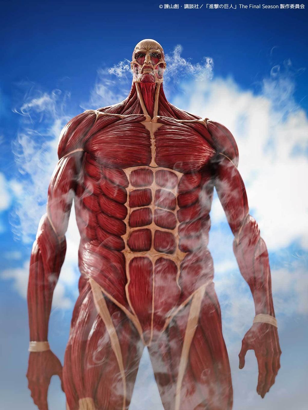 MegaSofvi_ColossalTitan_AOT 012