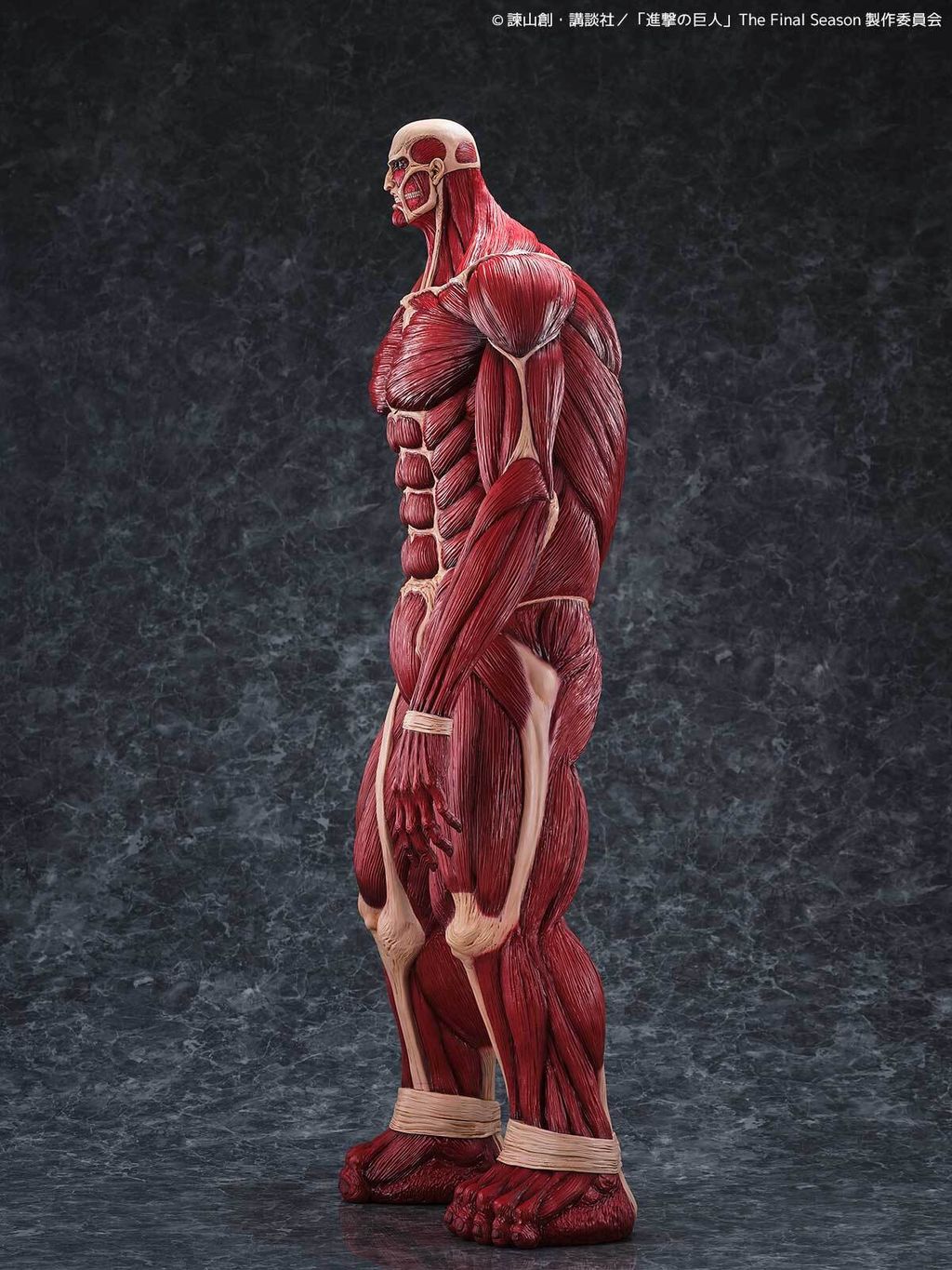 MegaSofvi_ColossalTitan_AOT 003