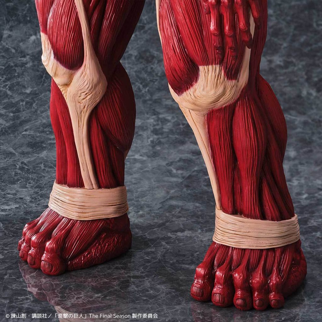 MegaSofvi_ColossalTitan_AOT 024