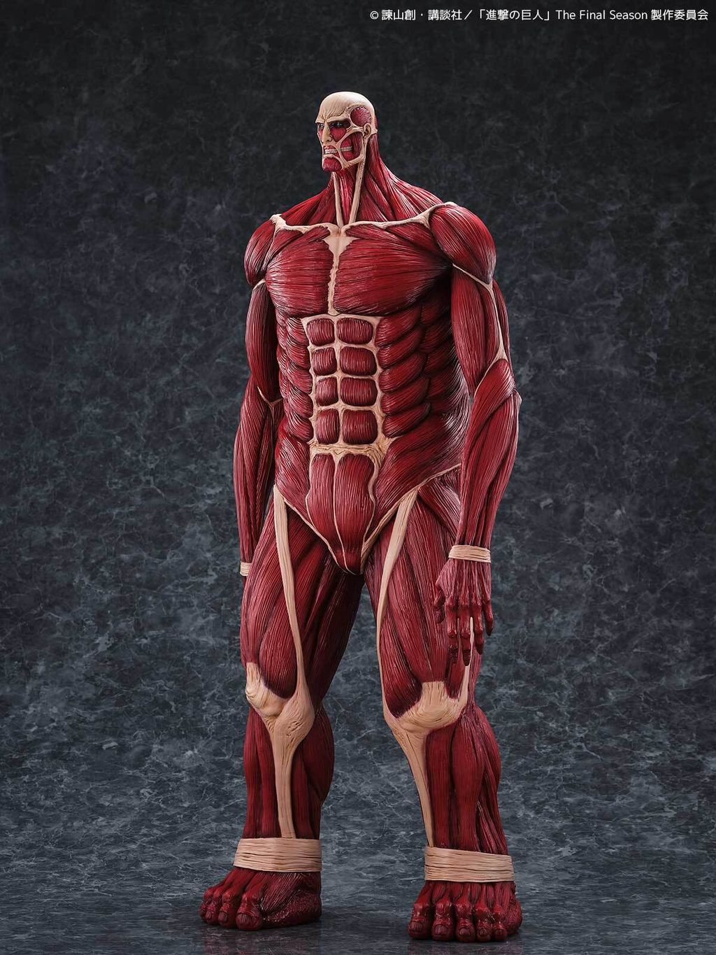 MegaSofvi_ColossalTitan_AOT 002