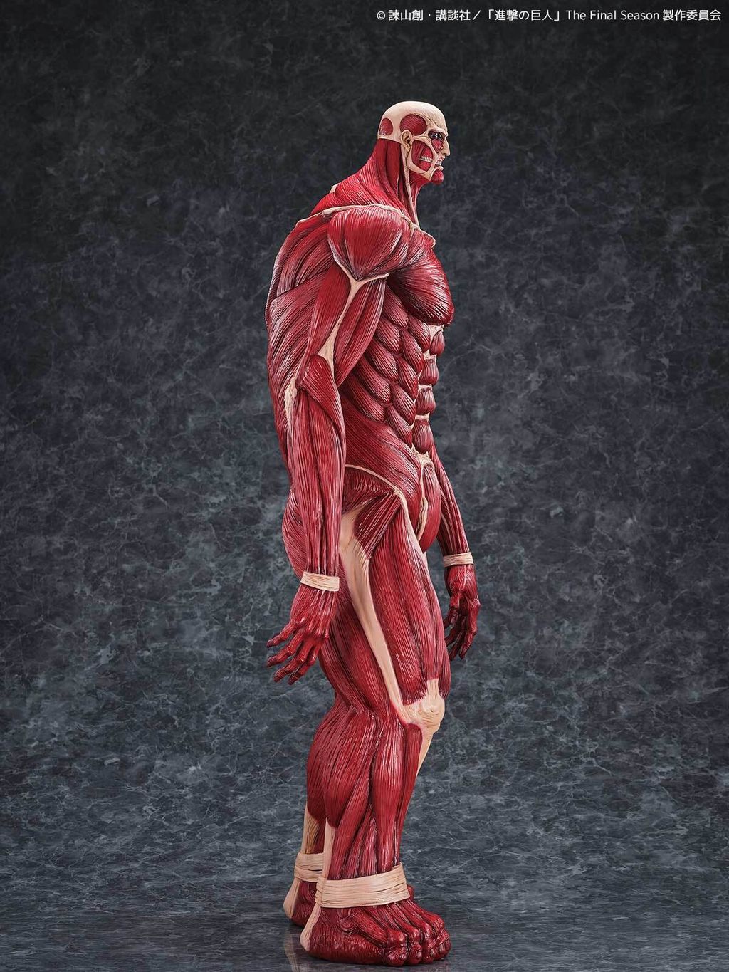 MegaSofvi_ColossalTitan_AOT 007