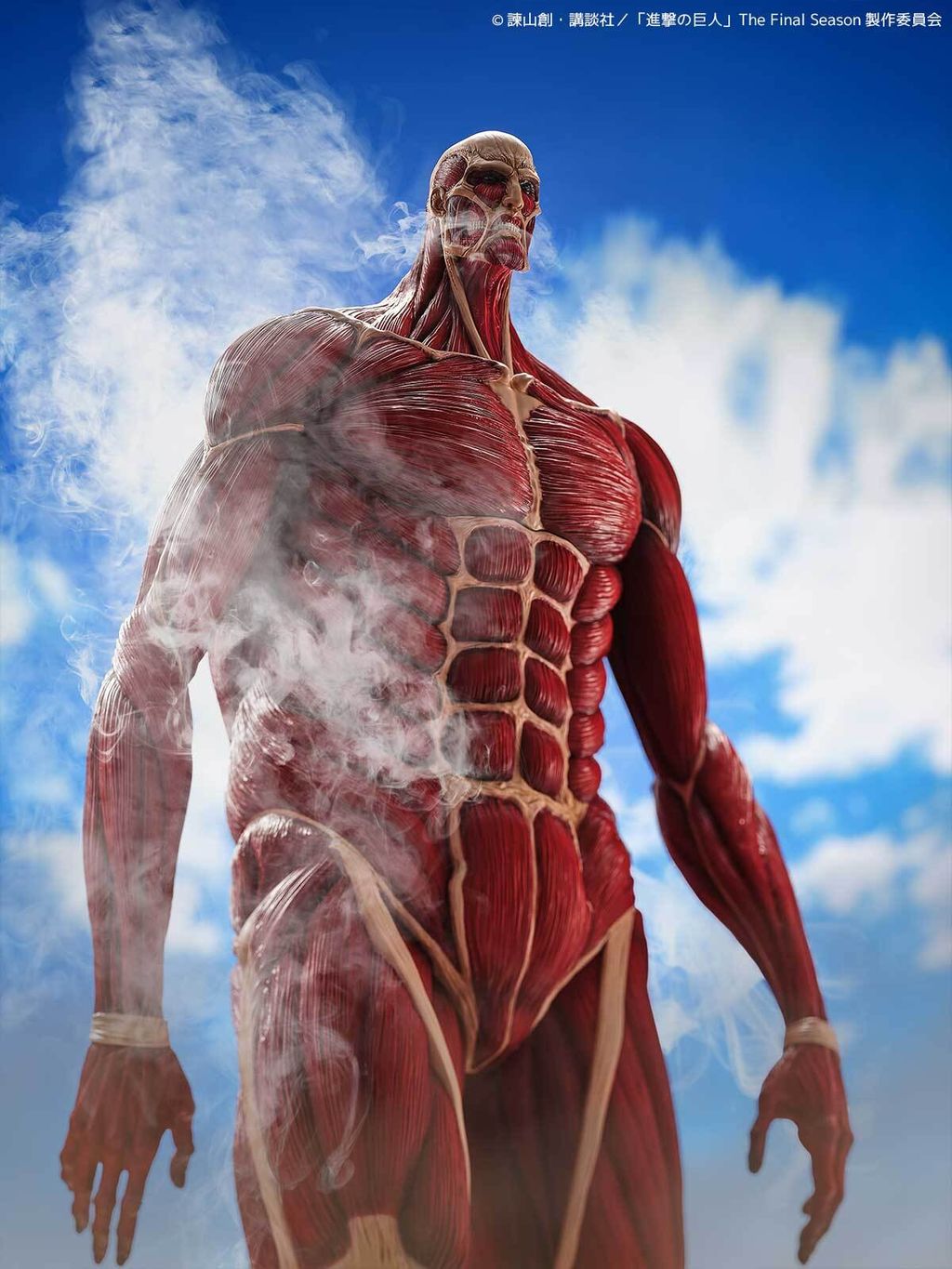 MegaSofvi_ColossalTitan_AOT 011